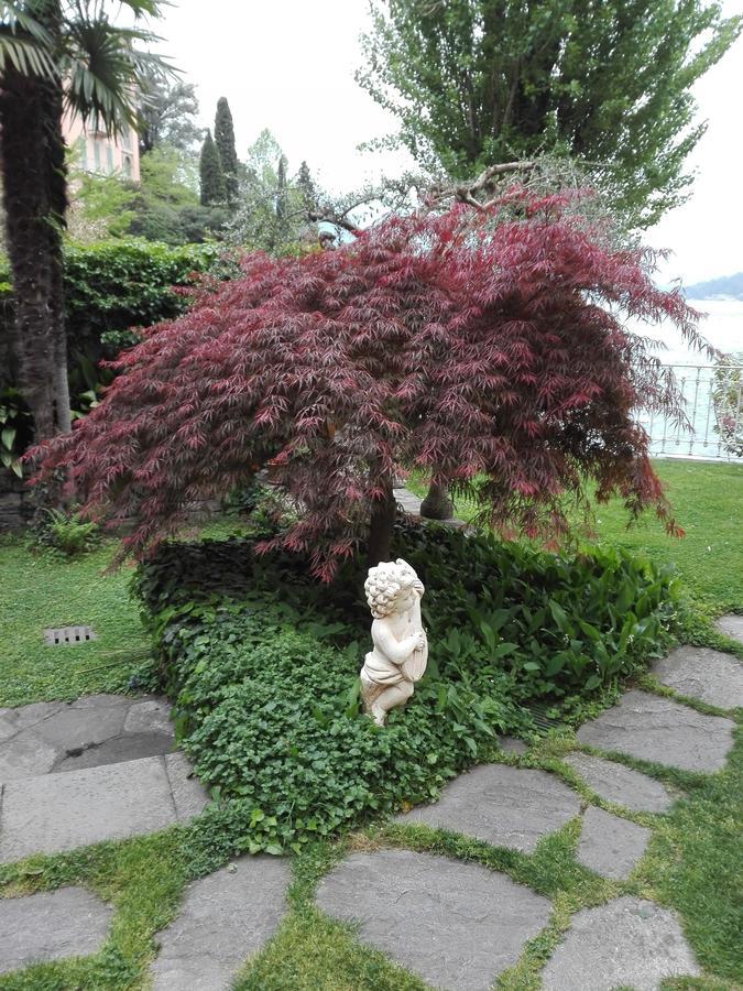 Villa Torretta Varenna Exterior foto